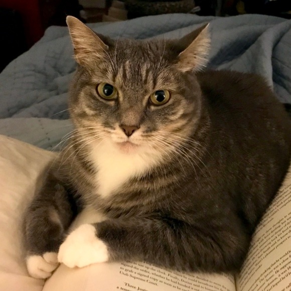 About me + my closet ❤️ - Picture 3 of 4